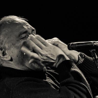 2016 Beto Fernandez Armonica